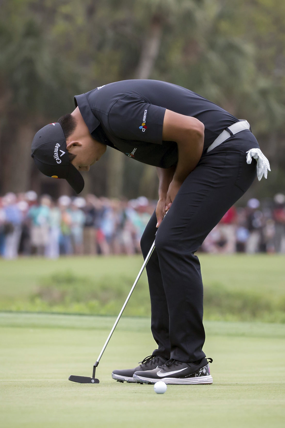 RBC Heritage Golf